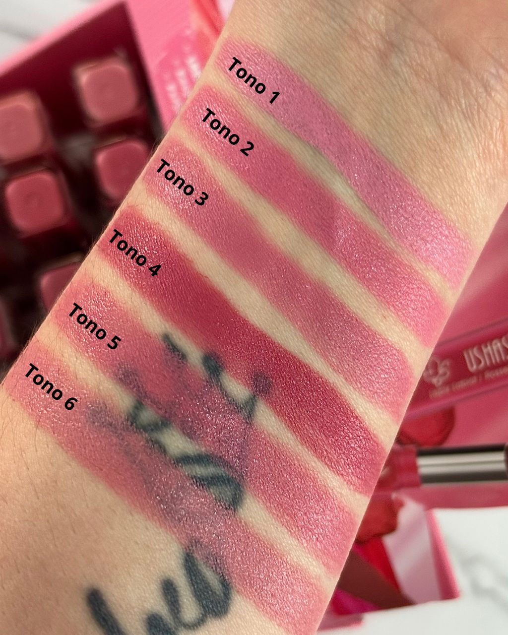 Lapiz labial matte rosetto USHAS