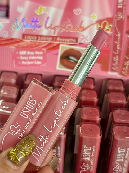 Lapiz labial matte rosetto USHAS